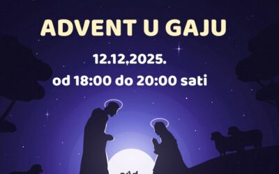 Advent u gaju