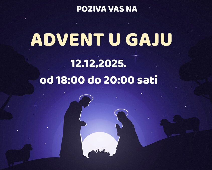 Advent u gaju